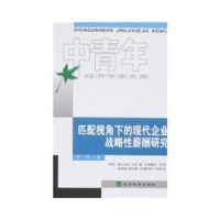   匹配视角下的现代企业战略性薪酬研究(中青年经济学家文库),李军975 9787505874527