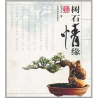   树石情缘庄文其978328392江西科学技术出版社 9787539028392