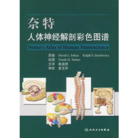   奈特人体神经解剖彩色图谱9787117078962(美)费尔腾等原著,崔益