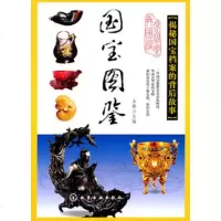   国宝图鉴9787122111456金鹏,化学工业出版社