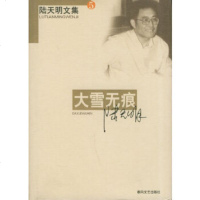   大雪无痕——陆天明文集陆天明978313244春风文艺出版社 9787531324485