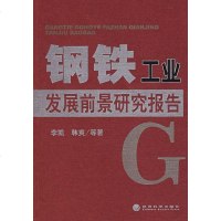   钢铁工业发展前景研究报告李凯,韩爽97584经济科学出版社 9787505858480