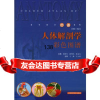 [99]人体解剖学彩色图谱——医学教学图谱系列97832364862柏树令,段坤昌 9787532364862