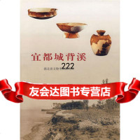 【99】宜都城背溪971012565湖北省文物考古研究所著,文物出版社 9787501012565