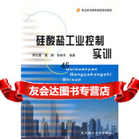 硅酸盐工业控制实训——职业技术教育国家规划教材舒云星9786291 9787562918288