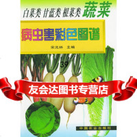 白菜类、甘蓝类、根菜类蔬菜病虫害彩色图谱宋元林9787105504 9787109055049