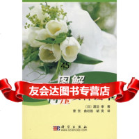 图解降压安神读本(日)渡边孝,曹贺9787030177766科学出版