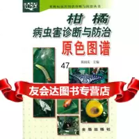 柑橘病虫害诊断与防治原色图谱陈国庆978266503金盾出版 9787508266503