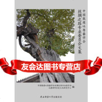 中国敦煌吐鲁番学会丝绸之路专业委员会文集中国敦煌吐鲁番学会丝绸之路专业委 9787561380475