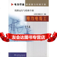 电力行业职业能力培训手册线路运行与检修专业:电力电缆工,山东电力集团公司 9787508328799