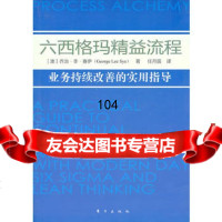 六西格玛精益流程(业务持续改善的实用指导手册),(澳)赛伊97604 9787506040976