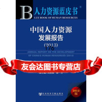 人力资源蓝皮书:中国人力资源发展报告(2013),吴江971 9787509750179