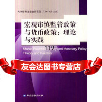 宏观审慎政策与货币政策关系:理论与实践,李向前974972422中国 9787504972422