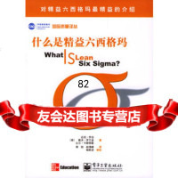 什么是精益六西格玛,[美]乔治,[美]罗兰兹,[美]卡斯特勒,郭锐,赵978 9787505399044