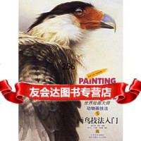 画鸟技法入——世界绘画大师5,动物画技法(美)路伦著,常宁生,丁亚雷, 9787534411700