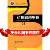 动物解剖生理9787303132430白彩霞,北京师范大学出版社