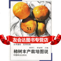 柿树丰产栽培图说,栾景仁,梁973817144中国林业出版社 9787503817144
