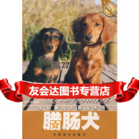 腊肠犬,许勇茜著973841583中国林业出版社 9787503841583