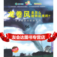 [9]龙卷风是怎么旋转起来的?——令人震惊的天气9787113128210德国Christo