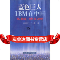 蓝色巨人——IBM在中国9787301036297袁道之,白莉,北京大学出版社
