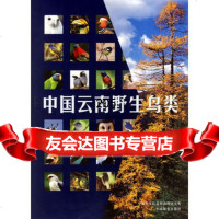 中国云南野生鸟类973838613季维智,中国林业出版社 9787503838613