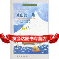 冰山的一角9760179[美]大卫·哈彻斯,包蔚然,王阅春,东方出版社 9787506017909