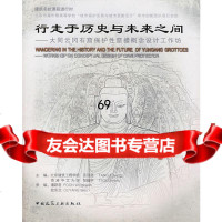 行走于历史与未来之间大同云冈石窟保护性窟檐概念设计工作坊汤羽扬,邹经宇9787112 9787112096909