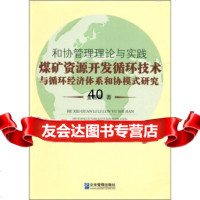 和协管理理论与实践:煤矿资源开发循环技术与循环经济体系和协模式研究金智新9787 9787802558816