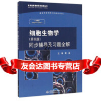 细胞生物学(四版)同步辅导及习题全解(新版)黄磊,翟中和,喜忠9781703 9787517035343