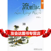 流星日记环玥973930720文化艺术出版社 9787503930720