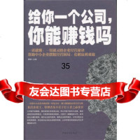 给你一个公司,你能赚钱吗(精装)李博97811339393中国华 9787511339393