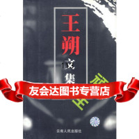 王朔文集:顽主9787222034044王朔,云南人民出版社
