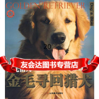 界名犬驯养宝典-阳光情人金寻回猎犬宠物印象工作室山东美术出版社978330 9787533025014