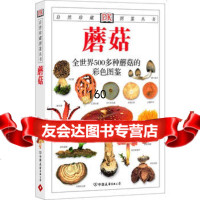 蘑菇:全世界500多种蘑菇的彩色图鉴—自然珍藏图鉴丛书97572102 9787505721029