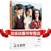奥斯卡经典文库—灵犬莱(美)奈特,邸萌首都师范大学出版社97865621871 9787565621871