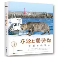   在路上遇见你猫夫人973037481测绘出版社 9787503037481
