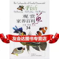 观赏鱼家养百科:识鱼养鱼养鱼郭志泰97877402008上海文化出版社 9787807402008