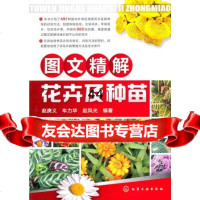 图文精解花卉及种苗赵庚义,车力华,赵凤光9787122104281化学工业出版社