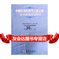 中国石油天然气工业上游技术政策研究报告魏一鸣,等9787030166692科学出版社