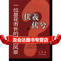 伏羲伏兮--一位昙花市长的浮沉风景王强9787215058408河南人民出版社