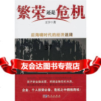 繁荣还是危机:后海啸时代的经济迷局王宇9787030292063科学出版社