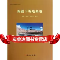 新疆下坂地墓地(精)971036066新疆文物考古研究所著,文物出版社 9787501036066