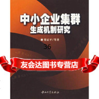 中小企业集群生成机制研究符征平9787306024152中山大学出版社