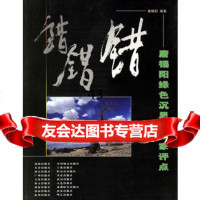 错错错唐锡阳沈阳出版社97844125765 9787544125765