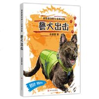 [正版9]金曾豪动物小说精选集:警犬出击,金曾豪,四川文艺出版社,97841155536 9787541155536