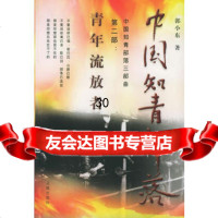 中国知青部落(第二部)——青年流放者郭小东97836035348 9787536035348