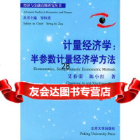 计量经济学:半参数计量经济学方法——经济与金融高级研究丛书9787301045 9787301045640