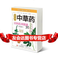 常用中草药识别应用图谱(手绘本)978352431陈兴兴,广东科技出 9787535952431