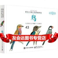 [9]彩色口袋自然珍藏图鉴鸟(全彩)9787121245305澳大利亚欧文公司,王大鹏,电