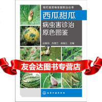 [9]现代蔬菜病虫害防治丛书--西瓜甜瓜病虫害诊治原色图鉴9787122179739吕佩珂,